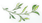 老年人打篮球时应如何进行适当的力量训练?_2